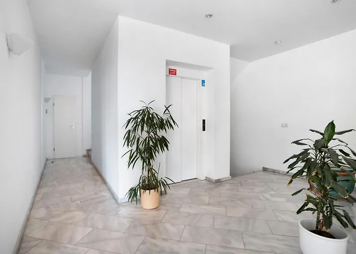 Haus Baltic - 29 公寓